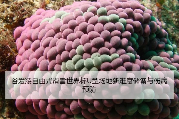 gu-ai-ling-zi-you-shi-hua-xue-shi-jie-bei-xing-chang-di-xin-nan-du-chu-bei-yu-shang-bing-yu-fang-2-383.jpg