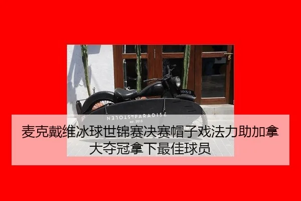 麦克戴维冰球世锦赛决赛帽子戏法力助加拿大夺冠拿下最佳球员