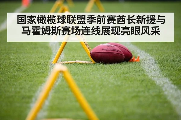 国家橄榄球联盟季前赛酋长新援与马霍姆斯赛场连线展现亮眼风采